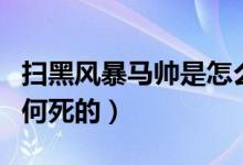 扫黑风暴马帅是怎么死的（扫黑风暴马帅是如何死的）