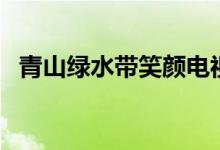 青山绿水带笑颜电视剧剧情（主演者是谁）