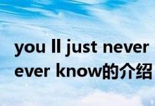 you ll just never know（关于you ll just never know的介绍）