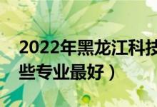 2022年黑龙江科技大学专业排名及介绍（哪些专业最好）