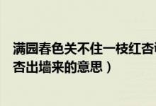 满园春色关不住一枝红杏讽刺什么（满园春色关不住一枝红杏出墙来的意思）