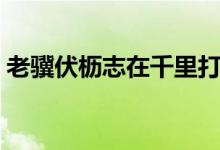 老骥伏枥志在千里打一数字（老伏志在千里）