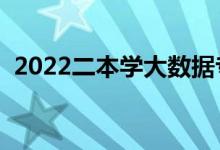 2022二本学大数据专业怎么样（好就业吗）