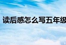 读后感怎么写五年级500字（读后感怎么写）