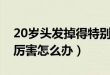 20岁头发掉得特别厉害（20岁头发掉的特别厉害怎么办）