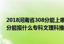 2018河南省308分能上哪些专科（2022河南高考290-300分能报什么专科文理科推荐什么学校）