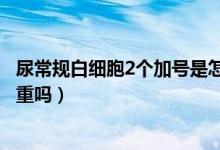 尿常规白细胞2个加号是怎么回事（尿常规白细胞2个加号严重吗）