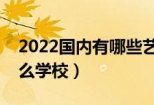 2022国内有哪些艺术类院校（艺术生能上什么学校）