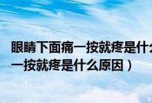 眼睛下面痛一按就疼是什么原因,导致头有点痛（眼睛下面痛一按就疼是什么原因）