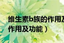 维生素b族的作用及功能介绍（维生素b族的作用及功能）