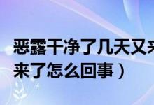 恶露干净了几天又来了正常吗（恶露干净了又来了怎么回事）