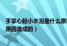 手掌心起小水泡是什么原因造成的（手掌心起小水泡是什么原因造成的）