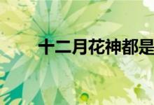 十二月花神都是谁（大家可以看看）