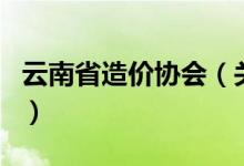 云南省造价协会（关于云南省造价协会的介绍）