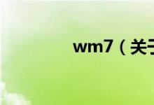 wm7（关于wm7的介绍）