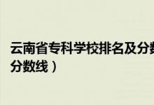 云南省专科学校排名及分数线（2022云南省专科院校排名及分数线）