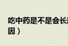 吃中药是不是会长胖?（吃中药长胖是什么原因）