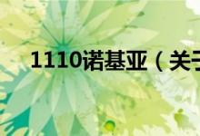 1110诺基亚（关于1110诺基亚的介绍）