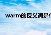 warm的反义词是什么（warm的反义词）