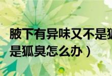 腋下有异味又不是狐臭怎么办（腋窝异味但不是狐臭怎么办）