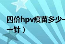 四价hpv疫苗多少一支（四价hpv疫苗多少钱一针）