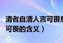 清者自清人言可畏意思是什么（清者自清人言可畏的含义）