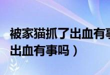 被家猫抓了出血有事吗伤口很小（被家猫抓了出血有事吗）