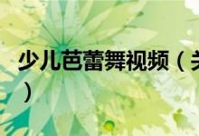 少儿芭蕾舞视频（关于少儿芭蕾舞视频的介绍）