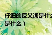 仔细的反义词是什么标准答案（仔细的反义词是什么）