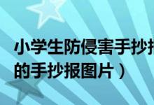 小学生防侵害手抄报图片大全（我是小学生了的手抄报图片）