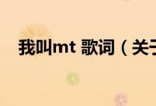 我叫mt 歌词（关于我叫mt 歌词的介绍）