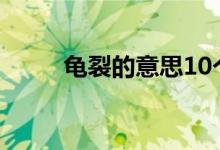 龟裂的意思10个字（龟裂的意思）