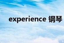 experience 钢琴（experience可数吗）