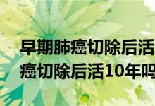 早期肺癌切除后活10年费用是多少（早期肺癌切除后活10年吗）