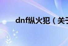 dnf纵火犯（关于dnf纵火犯的介绍）