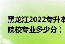 黑龙江2022专升本征集志愿投档分数线（各院校专业多少分）