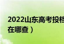 2022山东高考投档状态查询入口（投档情况在哪查）