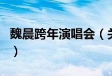 魏晨跨年演唱会（关于魏晨跨年演唱会的介绍）