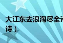 大江东去浪淘尽全诗视频（大江东去浪淘尽全诗）