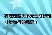 有理走遍天下无理寸步难行类似的句子（有理走遍天下无理寸步难行的意思）