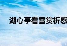 湖心亭看雪赏析感悟（湖心亭看雪赏析）