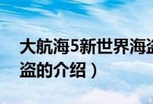 大航海5新世界海盗（关于大航海5新世界海盗的介绍）