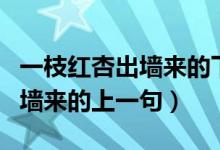 一枝红杏出墙来的下一句上一句（一枝红杏出墙来的上一句）