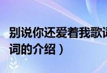 别说你还爱着我歌词（关于别说你还爱着我歌词的介绍）