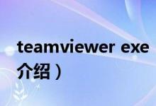 teamviewer exe（关于teamviewer exe的介绍）