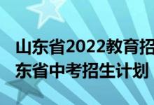 山东省2022教育招生考试院官网（2022年山东省中考招生计划）