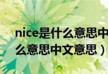 nice是什么意思中文翻译怎么读（nice是什么意思中文意思）