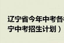 辽宁省今年中考各校的招生计划（2022年辽宁中考招生计划）