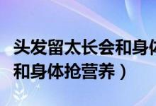 头发留太长会和身体抢营养不（头发留太长会和身体抢营养）