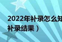 2022年补录怎么知道自己被录取（如何查询补录结果）